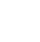 my project